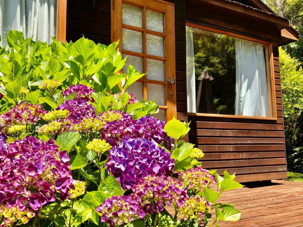Cabanas Monte Verde Pucón Kültér fotó